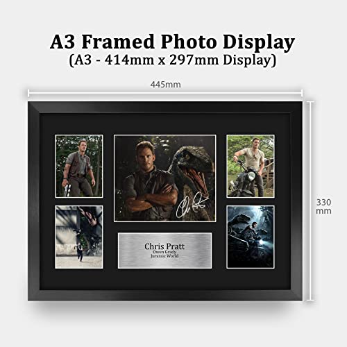 16x12in Chris Pratt Jurassic World Owen Grady Signed Photo – Framed 16" x 12" Movie Memorabilia