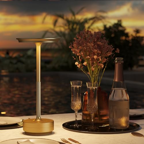 ZTFLOS Gold 2-Pack Rechargeable Cordless LED Table Lamps, Portable Battery Lights