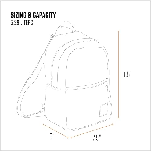 Carhartt Mini Backpack for School Black - Durable Water-Resistant 7.5x11.5 Inches