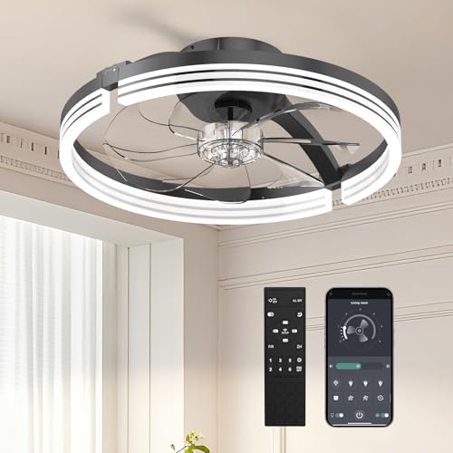 Aismillion 20 Inch Ceiling Fan with Lights & Night Light Mode - Grey