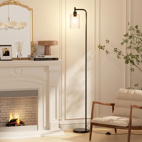 Ziisee Industrial Floor Lamp with Glass Shade - Black & Clear, LED Bulbs, Foot Switch, Easy Assembly
