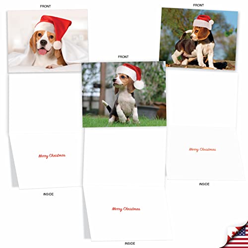 Bouncing Beagles Christmas Notecards – Best Card Co. 20 Assorted 4x5 Cards