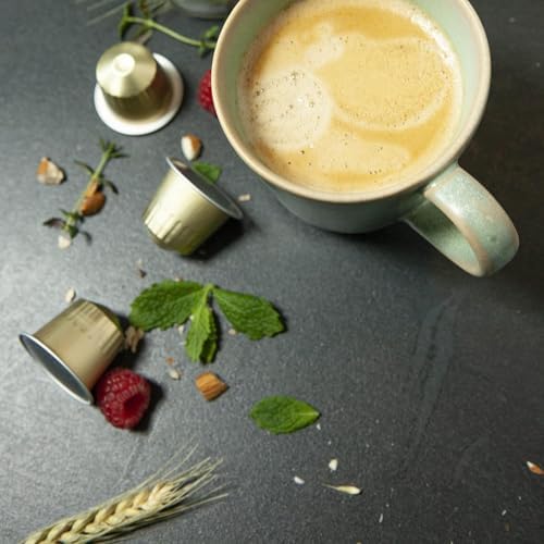 San Marino Organic Italian Lungo Coffee Pods for Nespresso Original - 100 Aluminum Capsules, Medium Roast, Fairtrade, Vari: Lungo San Marino