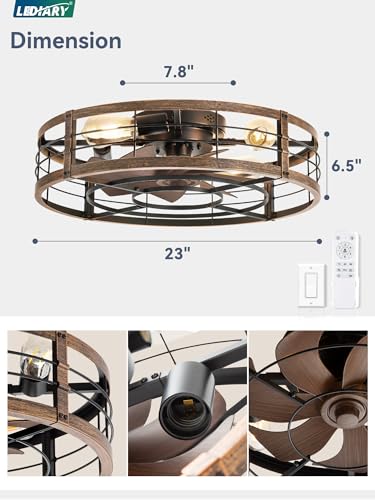 LEDIARY 23 Inch Black Gold Caged Low Profile Ceiling Fan with Light & Remote - Industrial Chic