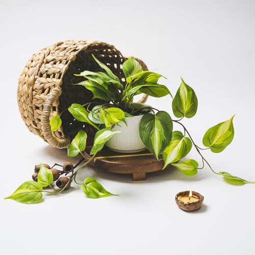 Artificial Pothos Plant with Ceramic Pot - Green Faux Trailing Ivy for Shelves