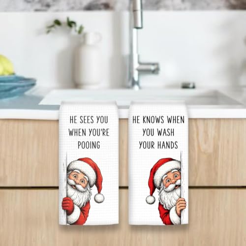 OINDADE Xmas 3 Christmas Santa Hand Towels Set of 2 - Festive Bathroom Decor