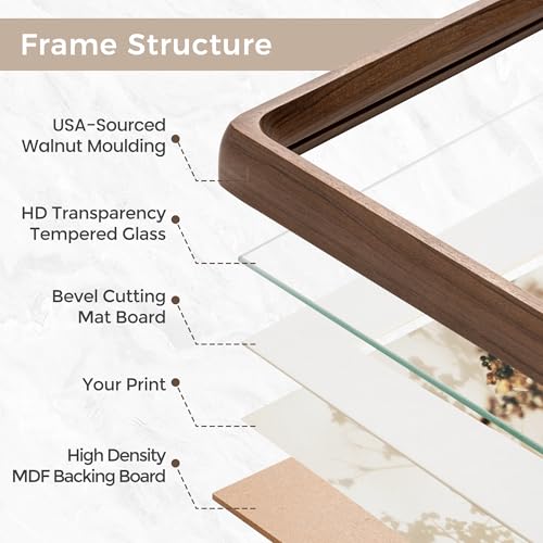 American Black Walnut Picture Frame Set - 11x14 Wall Mounts with Tempered Glass - Set of 2