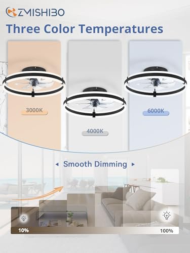 Low Profile 19.7 Inch Ceiling Fan with Lights and Remote Control - Black, Smart App Compatible
