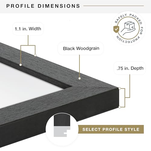 MCS Studio Gallery Poster Frame 28x40 with Mat, Black Woodgrain - 24x36 Display