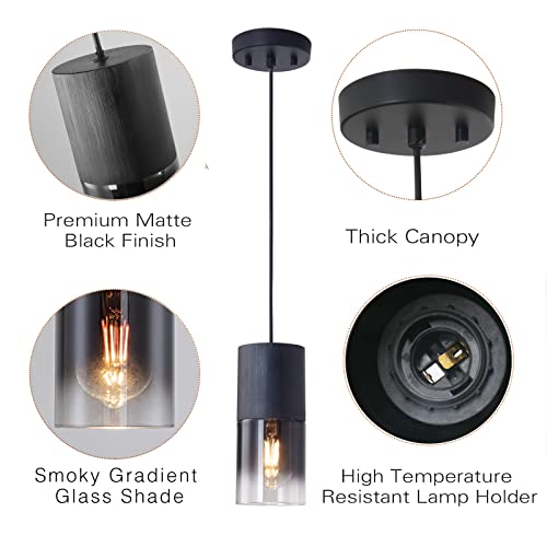 LINSEEDS 2-Pack Black Adjustable Glass Pendant Lights for Kitchen & Dining - Modern Industrial Style