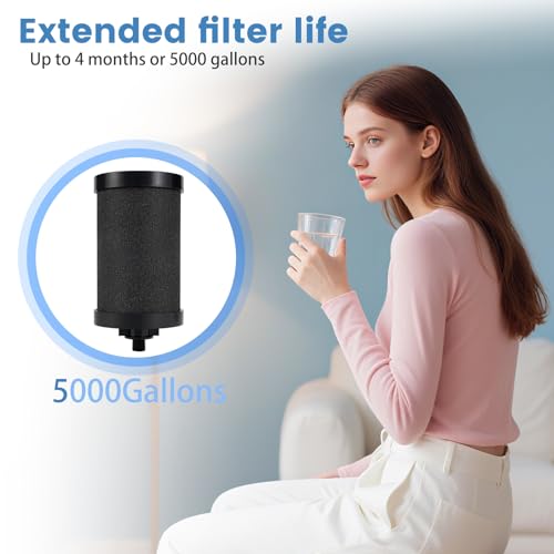 2 Pack Replacement Water Filter for Alexapure Pro System - Coconut Shell Carbon