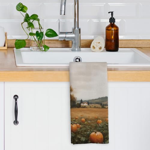 XPH Autumn20 Rustic Farmhouse Fall Pumpkin Kitchen Towels 16x24in