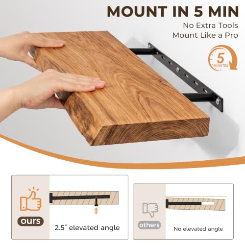 Live Edge Elm Floating Shelves - Rustic Wall Mounted Storage Set of 2