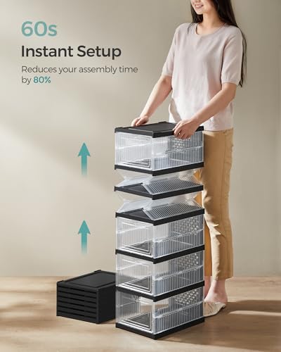 SONGMICS Foldable Shoe Storage Boxes 6-Tier Set with Transparent + Ink Black, Fits US Size 13, 18 Pack