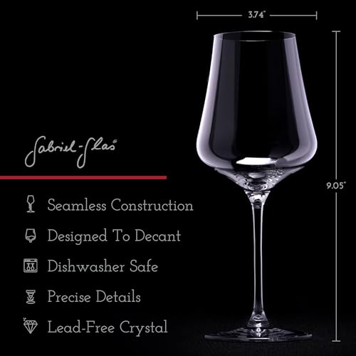 Gabriel-Glas StandArt Crystal Wine Glasses Set of 2 – Premium Lead-Free 16 oz for Red & White Wine