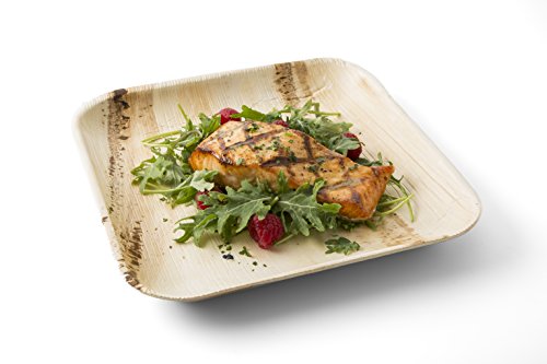 Charity Leaf Disposable Bamboo Square Plates 6-inch - Pack of 200, Eco-Friendly Catering Serveware