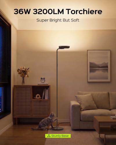 36W LED Floor Lamp with Adjustable Brightness & Color, Standing Lamp for Living Room & Bedroom