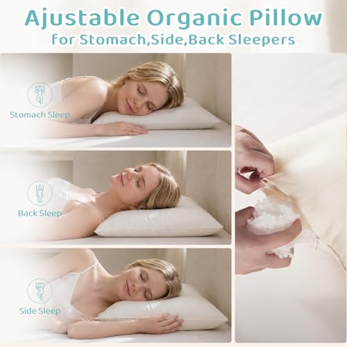 Organic Cotton Pillow 20x26 with Adjustable Loft - Off White, Hypoallergenic
