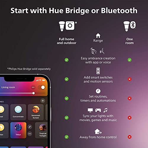 Philips Hue Go 1-Pack Portable Smart Table Lamp - White & Color Ambiance (Variation: Go)