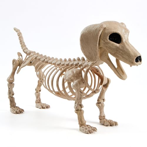24-Inch Poseable Halloween Dog Skeleton Prop for Indoor Outdoor Decor