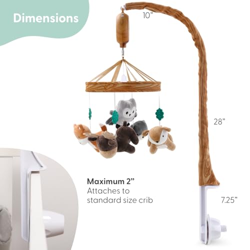 Woodgrain Baby Crib Mobile with 12 Lullabies & Woodland Animals - Tundra Theme