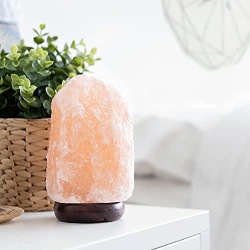 7-9 Inch Himalayan Salt Lamp with Dimmable Cord - Natural Crystal Night Light with Wooden Base