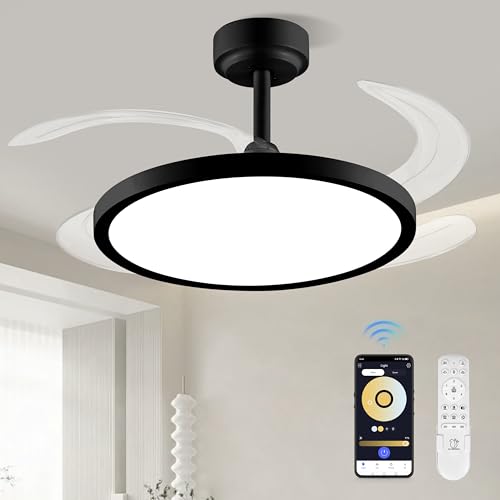 BAYSQUIRREL Downrod Mount Black Retractable Ceiling Fan with Lights & App Control