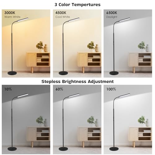 Dimunt Black LED Floor Lamp with Stepless Dimming & Color Temp Adjustment