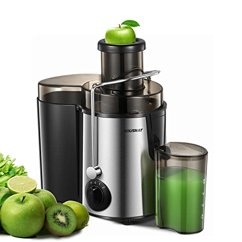 HOUSNAT Silver Juicer Machine for Whole Fruits & Vegetables, 3 Speeds