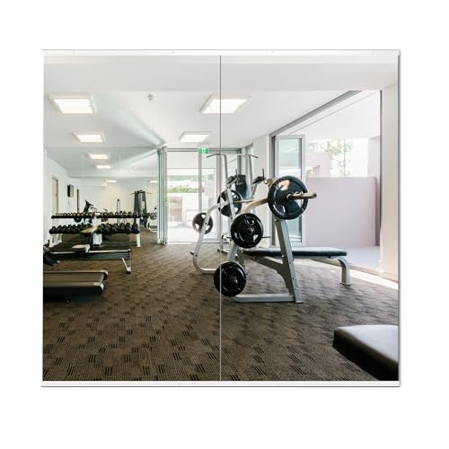 Delma Frameless Full Body Gym Mirrors 54 x 30 Inches, 2 Pack, Tempered Glass Wall-Mounted