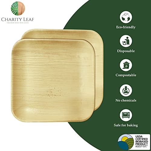 Charity Leaf 8-Inch Square Disposable Bamboo Plates - 50 Pack, Eco-Friendly & Heavy Duty