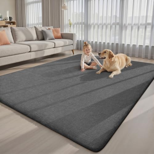 Dark Grey 8x10 Area Rug for Living Room & Bedroom - Soft Non-Slip Carpet