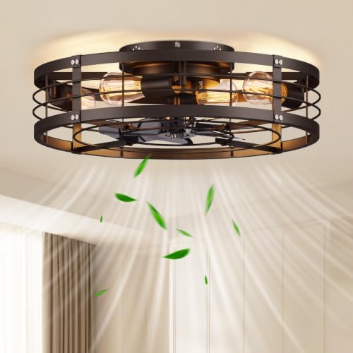20-Inch Black Caged Ceiling Fan with Light and Remote - Farmhouse Low Profile