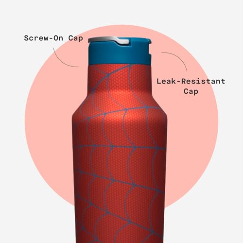 Spider-Man Water Bottle 20 oz with Spill-Free Cap - Hydration