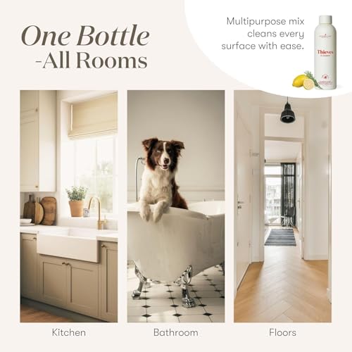 Natural All-Purpose Household Cleaner - Pack of 2, 14.4 Fl Oz Each
