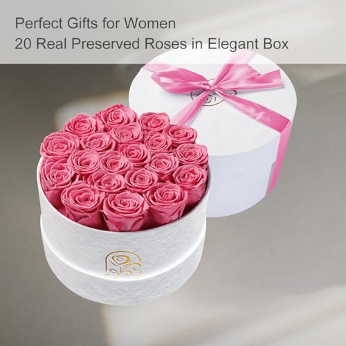 Flowers for Delivery, 20 Preserved Roses in Velvet Box, Gifts Women
