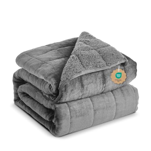 Weighted Blanket 15lbs for Adults - Sherpa Fleece Dual-Sided Plush, 48x72 inch Dark Grey