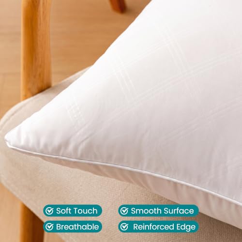 20x20 Inch Throw Pillow Inserts Set of 4 - Soft Square Cushion Inner