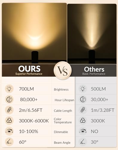 Black 2 Pack Indoor Floor Uplights with Remote & 3 CCT Dimmable Spotlight
