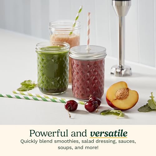 Cuisinart Smart Stick Hand Blender with Variable Speed - Stainless Steel