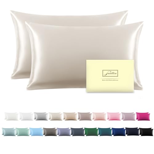 Mulberry Silk Pillow Cases 2 Pack - Standard Size 20x26 Beige - Soft & Cool Sleep Pillowcases