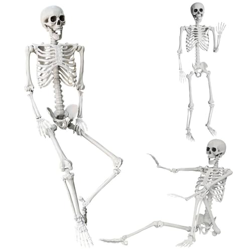 5.4Ft Halloween Skeleton with Movable Joints Life Size Human Bones Indoor Outdoor Decor