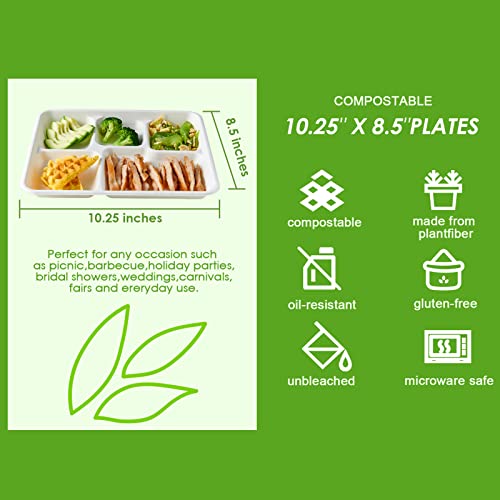 Vplus 500 Pack 5-Compartment Compostable Sugarcane Plates, 10.2x8.5 Inches — White, Eco-Friendly, Disposable Food Trays
