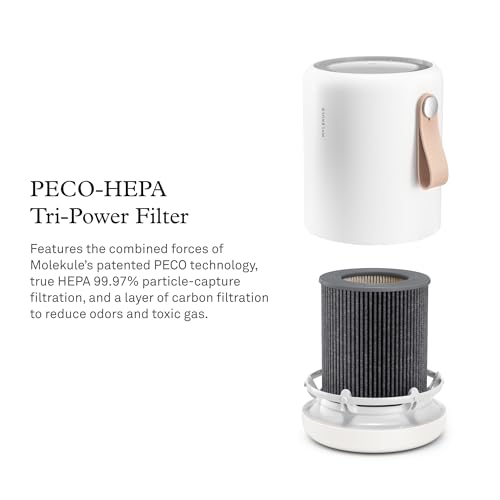 Molekule PECO-HEPA Tri-Power Filter for Mini & Mini+ Air Purifier (Medium Pack of 1)