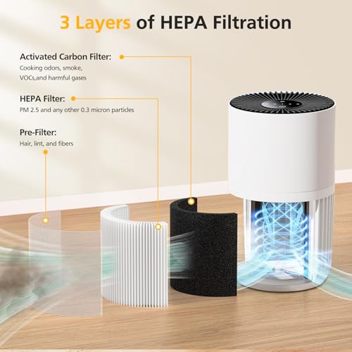 isinlive 4 Pack HEPA & Activated Carbon Filter Replacement for GoveeLife H7126 Mini Air Purifier