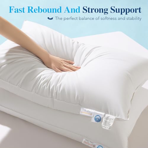 King White Goose Down Pillow 1050 Fill Power Plush Support - Variation: White / King / 1