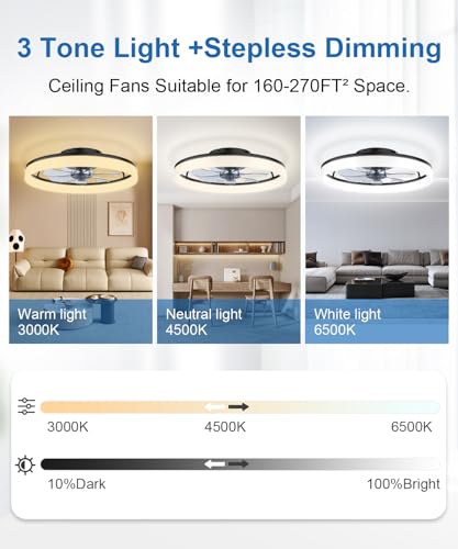 FancyMay 20-Inch Black Ceiling Fan with Lights Remote & App Control