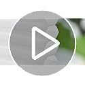 LazBlinds No Drill Cordless Cellular Blackout Shades 35 x 36 White - Inside Mount