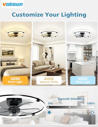 Black 23.6-inch Low Profile Ceiling Fan with Lights Remote Dimmable Modern LED