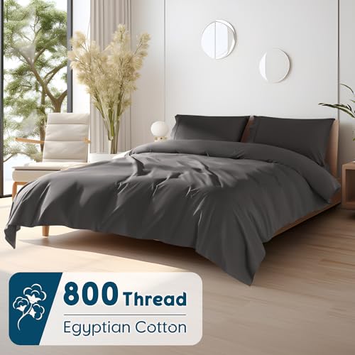 SONORO KATE 800 Thread Count Egyptian Cotton Queen Bed Sheets Deep Pocket Luxury Bedding